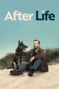 Cover After Life, TV-Serie, Poster