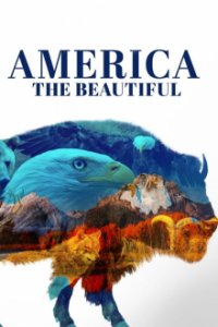 Das schöne Amerika Cover, Poster, Das schöne Amerika