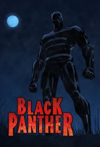 Black Panther Cover, Poster, Black Panther DVD