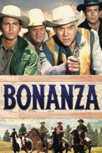 Bonanza Cover, Online, Poster
