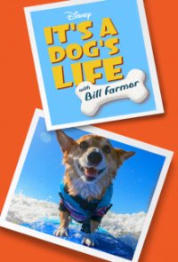 Ein Hundeleben mit Bill Farmer Cover, Stream, TV-Serie Ein Hundeleben mit Bill Farmer