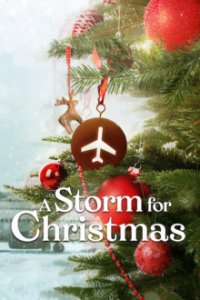 Ein Sturm zu Weihnachten Cover, Stream, TV-Serie Ein Sturm zu Weihnachten