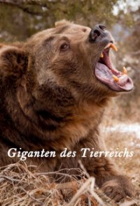 Giganten des Tierreichs Cover, Stream, TV-Serie Giganten des Tierreichs