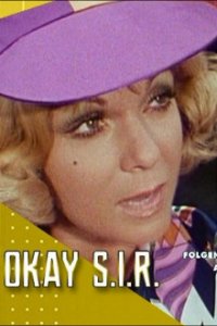Okay S.I.R. Cover, Online, Poster