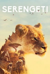 Serengeti Cover, Poster, Serengeti