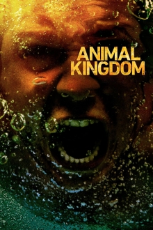 Animal Kingdom, Cover, HD, Serien Stream, ganze Folge