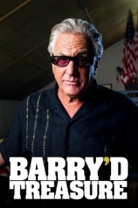 Barry’d Treasure Cover, Poster, Blu-ray,  Bild