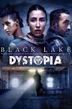 Cover Black Lake (2021), Poster, Stream