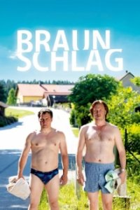 Braunschlag Cover, Poster, Braunschlag DVD