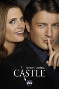 Castle Cover, Online, Poster