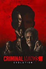 Cover Criminal Minds, Poster, Stream
