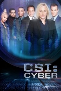 CSI: Cyber Cover, Online, Poster
