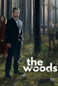 Cover Das Grab im Wald, TV-Serie, Poster