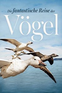 Die fantastische Reise der Vögel – Federleicht und flügelweit Cover, Online, Poster