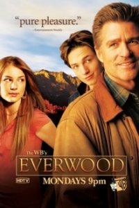 Everwood Cover, Online, Poster