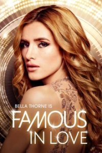 Famous in Love Cover, Poster, Blu-ray,  Bild