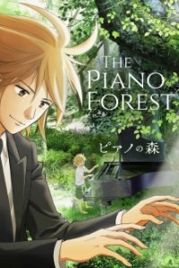 Forest of Piano Cover, Poster, Blu-ray,  Bild