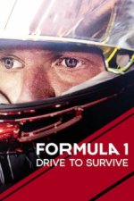 Cover Formula 1: Drive to Survive, Poster, Stream