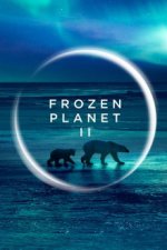 Cover Frozen Planet II, Poster, Stream