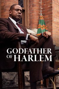 Godfather of Harlem Cover, Poster, Blu-ray,  Bild