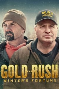 Gold Rush: Winter's Fortune Cover, Poster, Blu-ray,  Bild