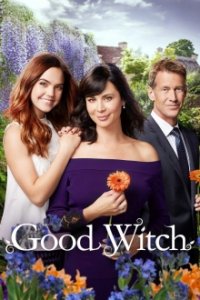 Good Witch Cover, Poster, Good Witch
