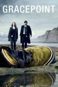 Gracepoint Cover, Online, Poster