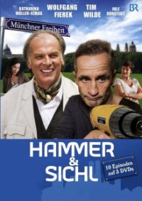 Hammer & Sichl Cover, Online, Poster