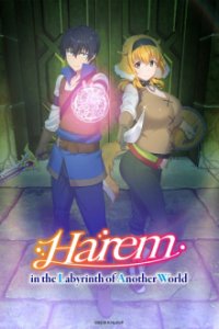 Harem in the Labyrinth of Another World Cover, Poster, Blu-ray,  Bild