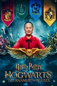 Harry Potter: Hogwarts Tournament of Houses Cover, Poster, Blu-ray,  Bild