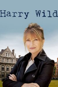 Cover Harry Wild - Mörderjagd in Dublin, TV-Serie, Poster