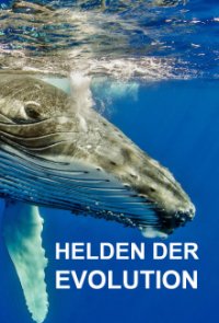 Cover Helden der Evolution, Poster, HD