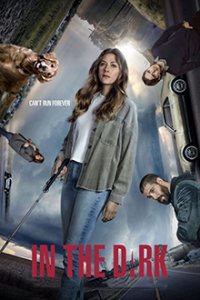 Cover In the Dark (2019), TV-Serie, Poster