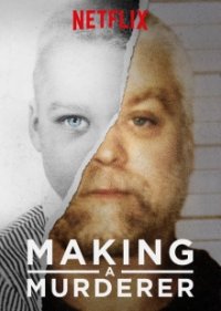 Making a Murderer Cover, Online, Poster
