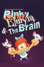 Cover Pinky, Elmyra und der Brain, Poster, Stream
