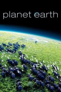 Planet Erde Cover, Online, Poster