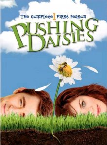 Pushing Daisies Cover, Online, Poster