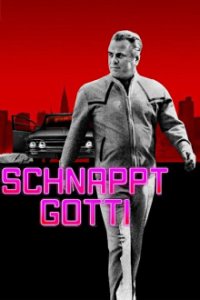 Cover Schnappt Gotti, TV-Serie, Poster