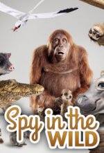 Cover Spione im Tierreich, Poster, Stream