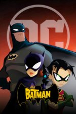 Cover The Batman, Poster, Stream