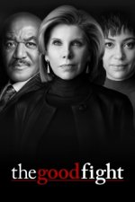 Cover The Good Fight, Poster, Stream