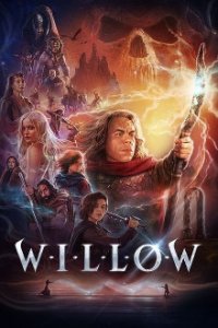 Cover Willow, Poster